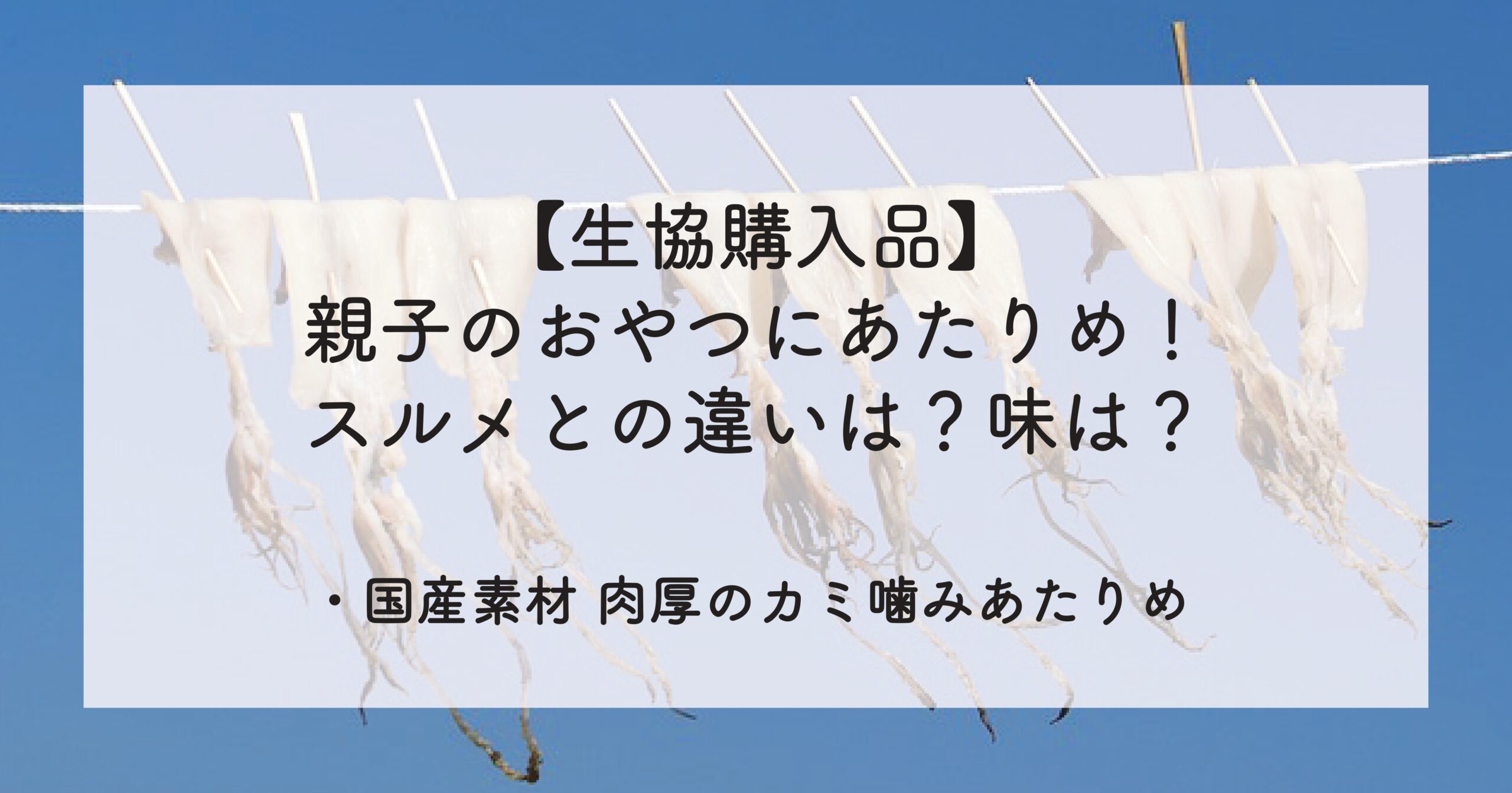 親子のおやつにあたりめ